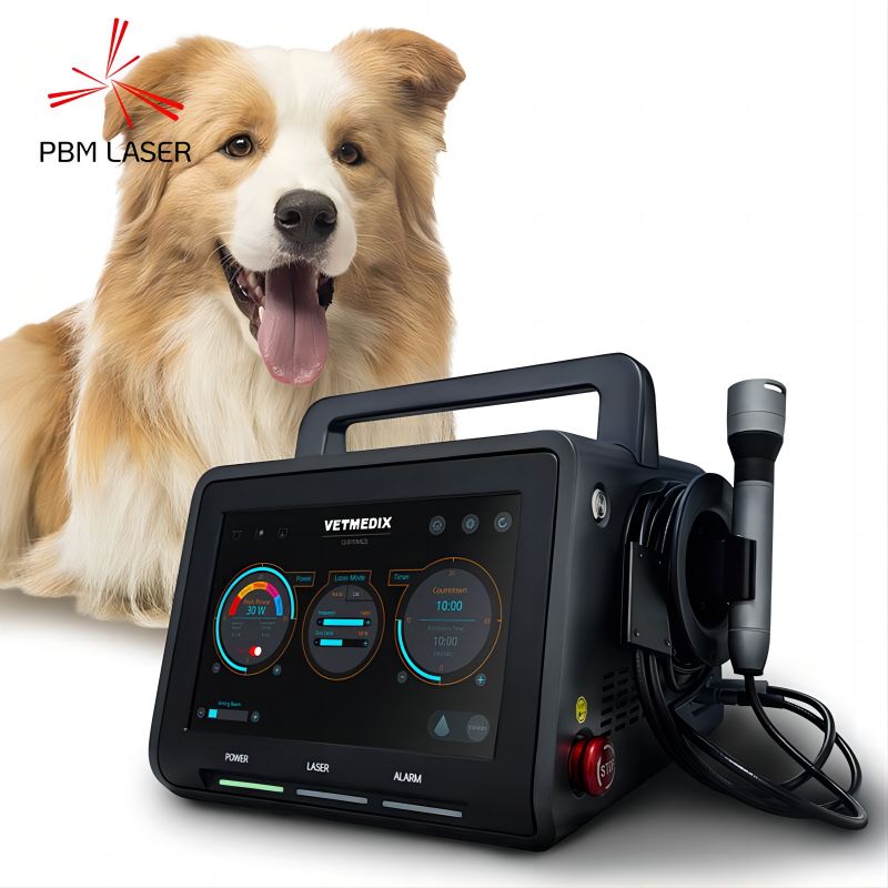 Apakah Keadaan Yang Boleh Digunakan Laser Veterinar untuk Merawat?