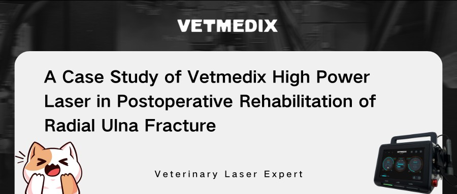 Perkongsian kes vetmedix 丨 Terapi laser kuasa tinggi dalam pemulihan pasca operasi patah ulna radial