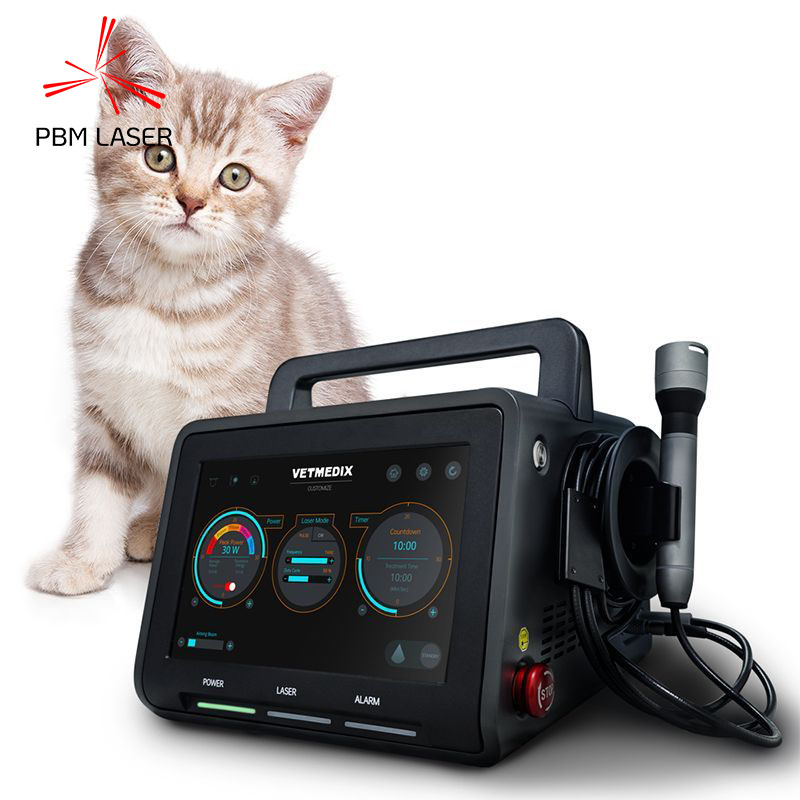 Laser Veterinar Terapi Cahaya Haiwan Kecil Kelas 4